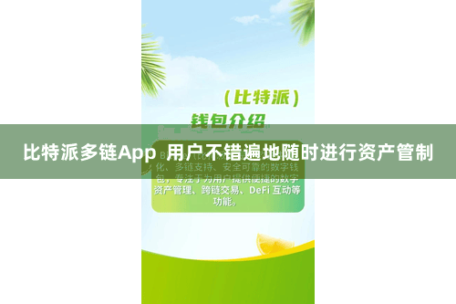 比特派多链App  用户不错遍地随时进行资产管制
