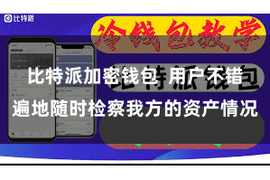 比特派加密钱包  用户不错遍地随时检察我方的资产情况